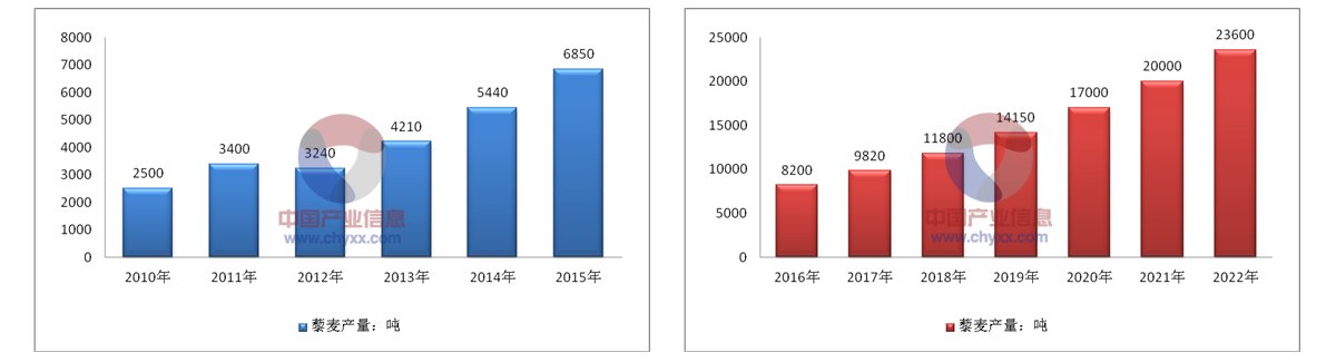 1584346262897255.jpg 1x.jpg